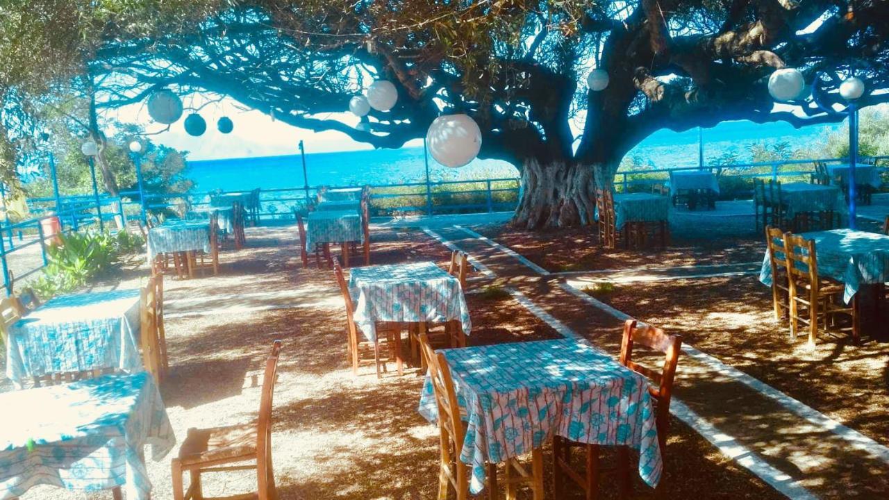 Camping Kato Alissos Dış mekan fotoğraf